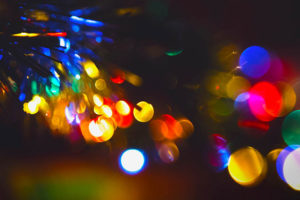 bail bonds for florida arrests