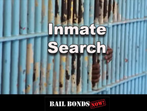 Florida Inmate Search