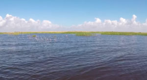 Fishing Violations at Lake Okeechobee