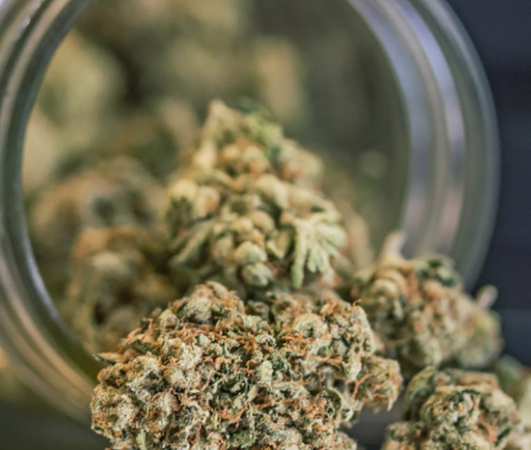 arrested for marijuana in palm beach