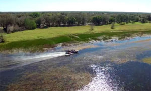 bail bonds kissimmee