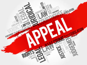 how to get an appeal bond in florida
