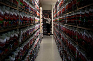 open arrest warrants in florida