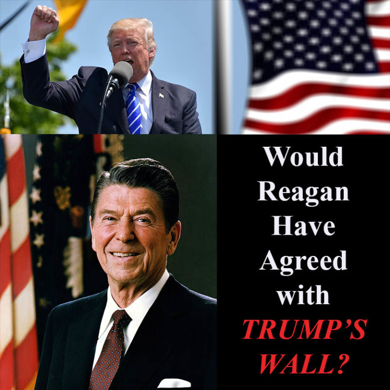 trump wall news