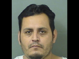 west palm beach used car salesman arrested for fraud