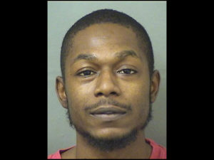 arrested for animal cruelty in palm beach county