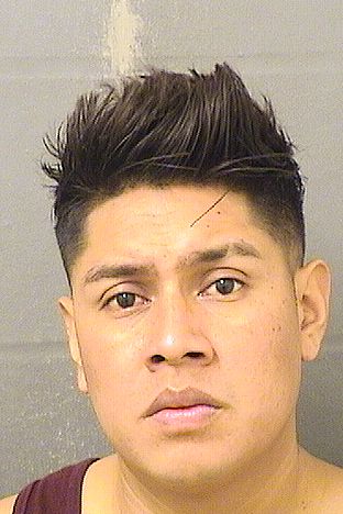 accused of domestic abuse and released on sor