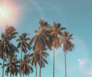 South Miami Heights, FL Bail Bond Service