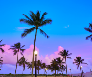 Westchester, FL Bail Bond Service